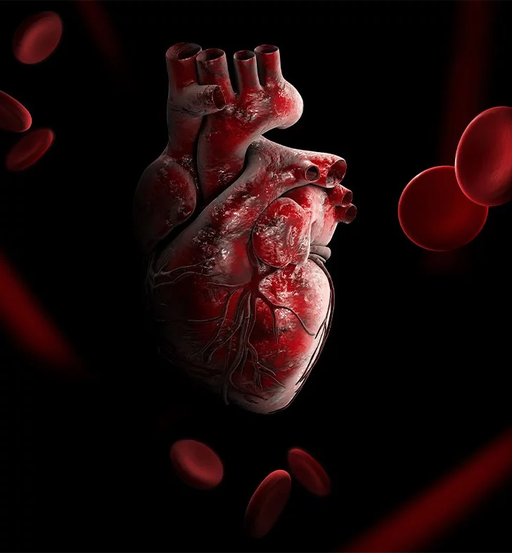 Aortic Valve Disease