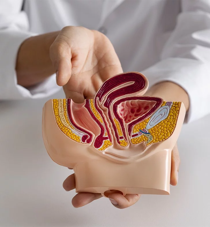 Bladder and Bowel Dysfunction in Multiple Sclerosis (MS)